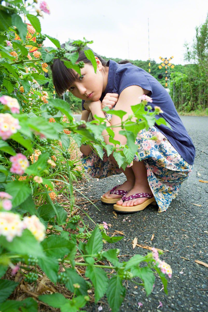 平芜尽处春